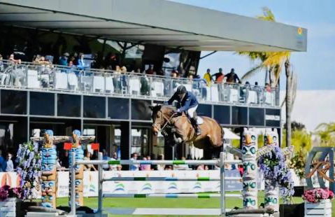 Oliva Nova Equestrian Apartment Next to MET Showground - Photo 22