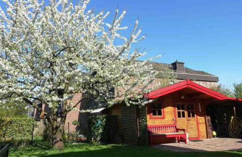 Süße Souterrain-Wohnung mit Anbindung nach Münster - Foto 11