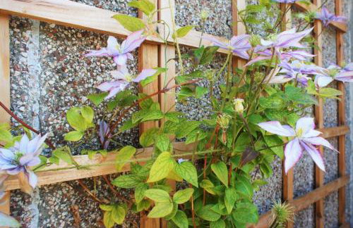 17 William Street - Foto 36