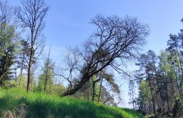 Leśna Chata kuracyjna nad rzeką z sauną w Borach Tucholskich - Foto 51