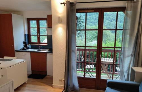 Studio à Cauterets avec piscine et animaux admis - FR-1-812-94 - Photo 1