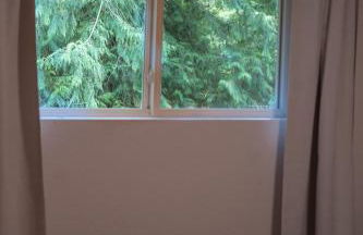 Forest Escape at Wilderness Rim - Foto 39