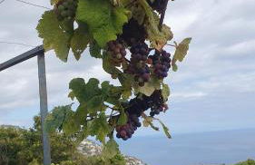 Villa Brava Atlântico - Foto 54