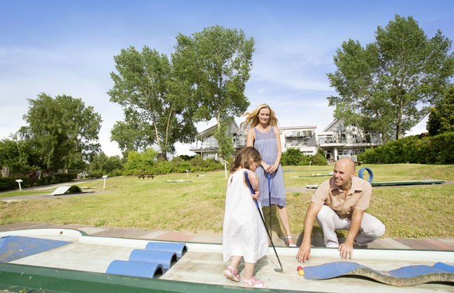 Seeschwalbe - Foto 17