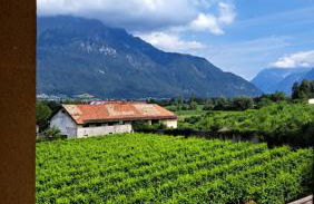 Agriturismo Villa di Modolo - Cortile della Latteria - Foto 42