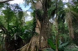 Chácara Morretes Arraial - Piscina e Rio - Photo 78