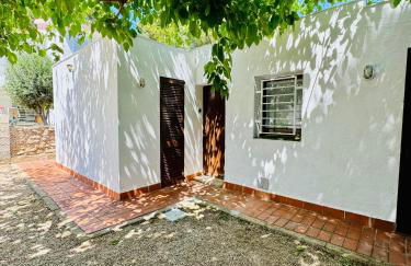 Les cases del vent I - Foto 2