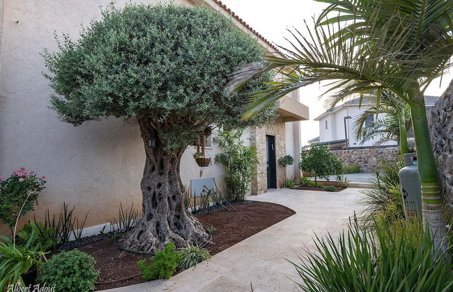 Tavor View Suites - Foto 28