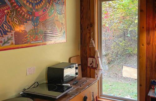 Pet-Friendly Leicester Mountain View Escape - Foto 4