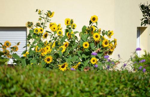 Ferienhaus - Kern - Foto 34