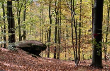 Hexenhüsli Waake - Foto 18