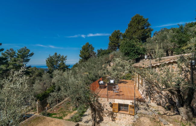 Es Coll D en Pastor in Fornalutx - Photo 22