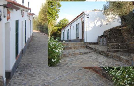 Aparthotel Las Palomas - Photo 18