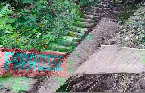 Berkey's Jungle Paradise - Photo 58