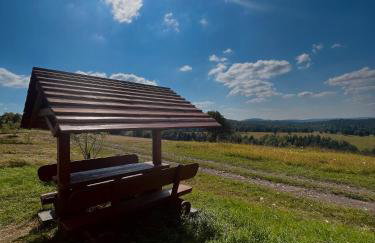 Domki u Bejdaka 789- 039 - 689 WYRUSZ Z GOSPODARZEM ŚLADAMI NIEISTNIEJĄCYCH WSI - Foto 18