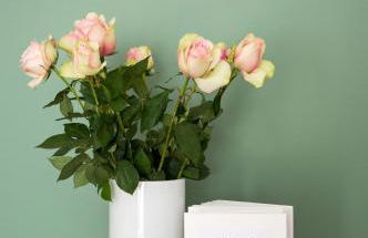 Piedaterre sulle Mura - Treviso to Venice - Foto 1