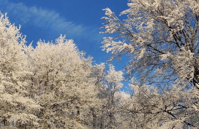 New House on the Edge of a Large Forest, Large Garden,very Quiet, Beautiful Area - Foto 21