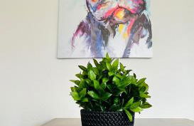 Gemütliches Altbauapartment I - Foto 1