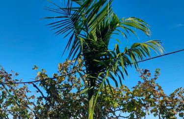 Finca Los Viñedos Verdes - Foto 51