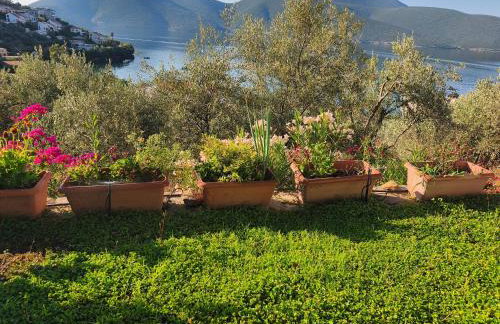 Sea view Goldins house - Foto 30