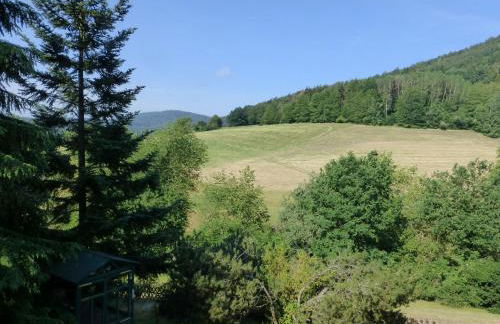 Ferienwohnungen Tannenhof - Foto 7