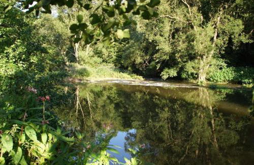 One-bedroom apartment - Foto 24