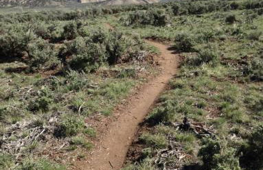 5 Bedroom - Located in Old Town Eagle - Foto 37