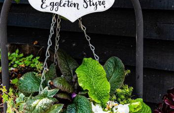 The Old Farm - Foto 51