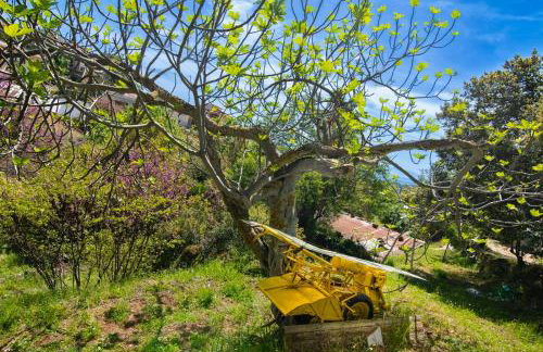 Sto Dimeiko - Foto 10