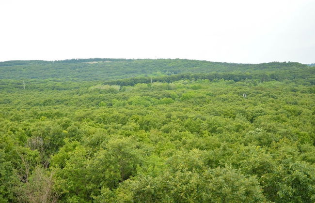 Villa Bellevue -Golden Sands Nature Park - Foto 42