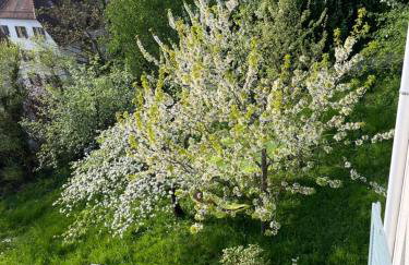 EMI2 Modern Apartment Free Parking Near Swiss Border - Foto 52