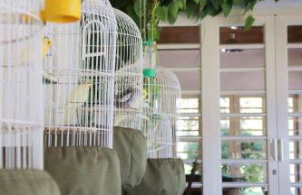 Casa com WiFi e lazer em Campina Grande do Sul - Foto 50