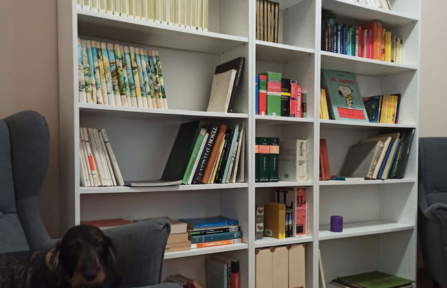 Paradise Rooms - Foto 9