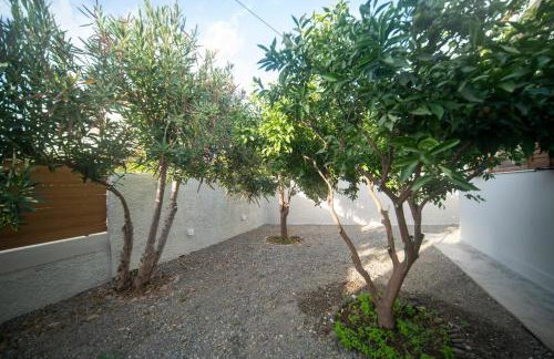 Avli Guest House - Foto 38