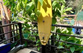 Tiny House Noronha - Foto 26