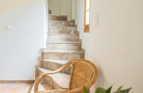 Strix Aluco Kalavryta - Foto 5