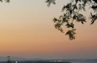 Dépendance dans Mas traditionnel avec piscine - Foto 9