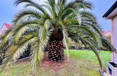 Les Palmiers gite 7 personnes plages du débarquement - Photo 23
