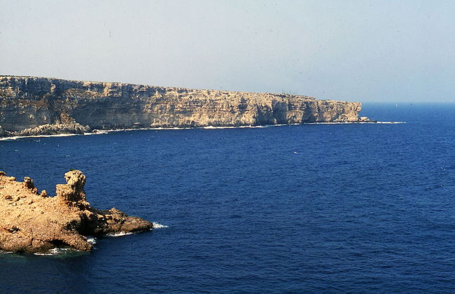 Apartamentos Sa Cala - Photo 34