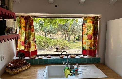 Courela do Monte Novo - Photo 39