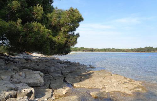 Apartments Kavan - Photo 23