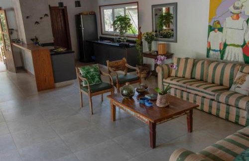 Canto dos pássaros - Foto 8