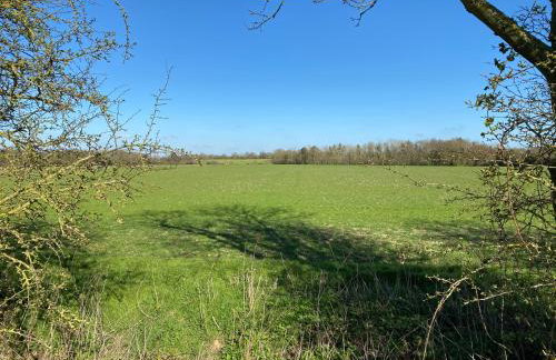 Wood Place - Foto 33