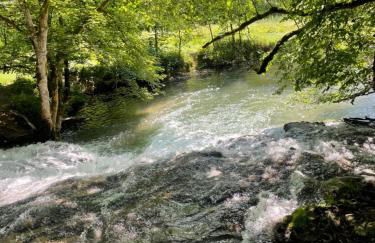 Ferienwohnung Christine - Foto 38