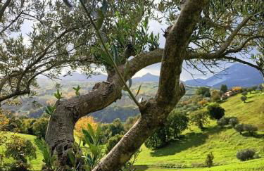 Rustic hillside stone-Rustico in pietra - Foto 23