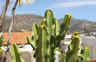 Fortezza studio - Photo 17