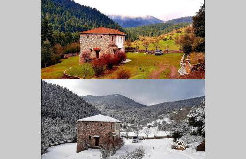 Elati Hills - Photo 4