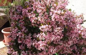 Casa di Zoe apartment - Punto di sosta x bikes auto e moto a 20 minuti dall'autostrada - parcheggio privato - giardino con barbecue - - Foto 19