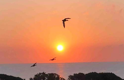 Appartement vue mer au Lavandou - Foto 1