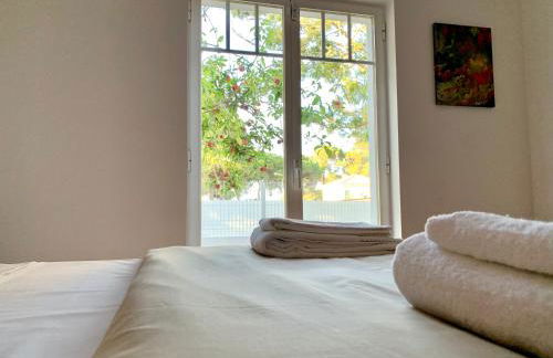 Romã do Meco - Foto 22